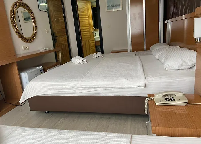 Huisdiervriedelijke Derin Suit Otel Antalya
