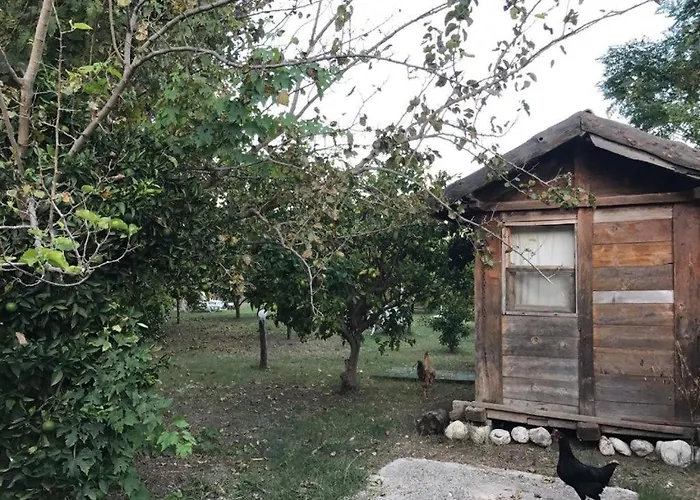 Hôtels à Çıralı