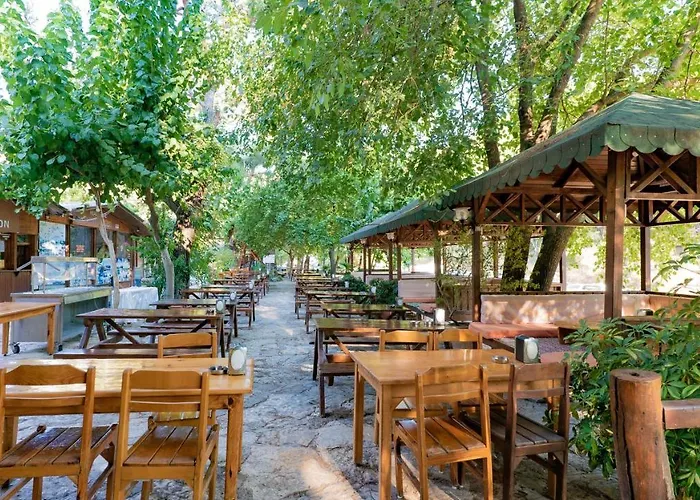 Olympos Hotels