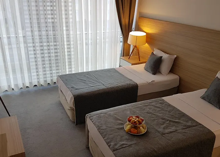 Ozyigit Otel Gazipaşa