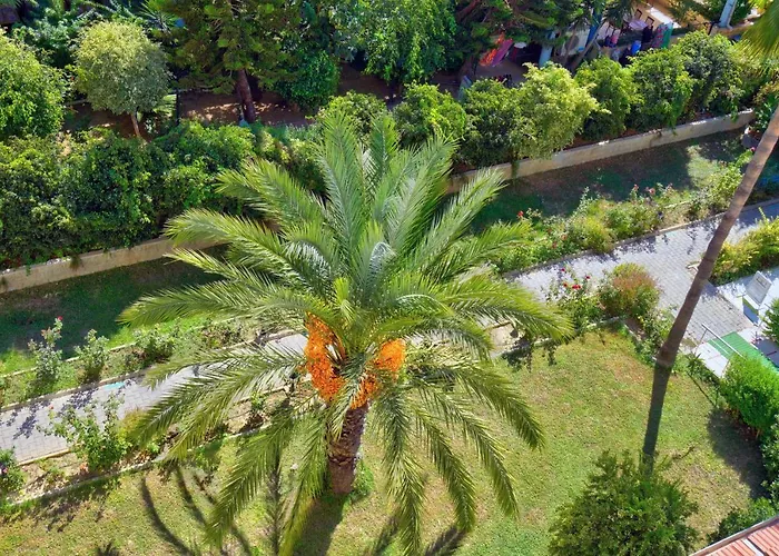 Blue Fish Hotel All Inclusive Alanya