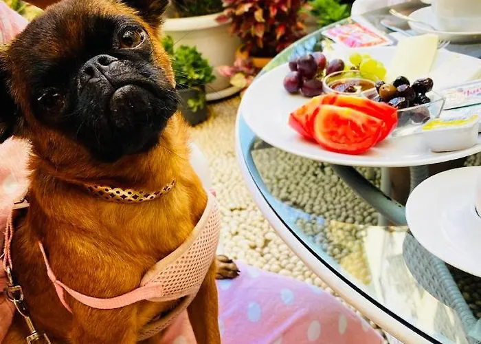 Hôtels à côté de Antalya