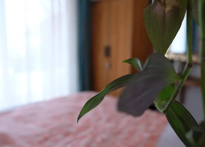 Ceneviz Hotel Adrasan