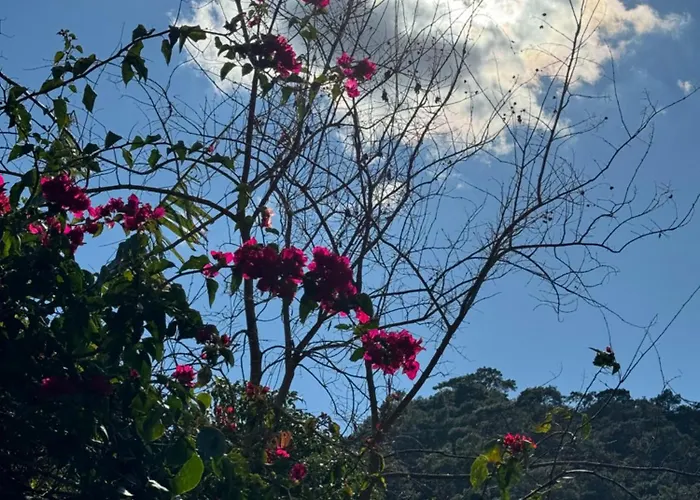 Hotel Yavuz Bungalow Çıralı