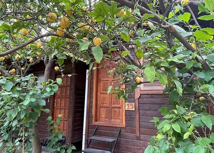 Olympos Varuna Pansiyon