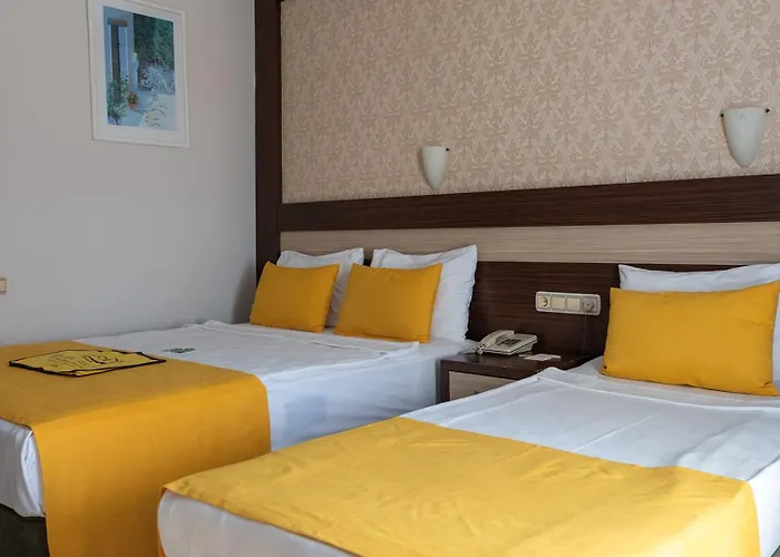 Lonicera World Avsallar