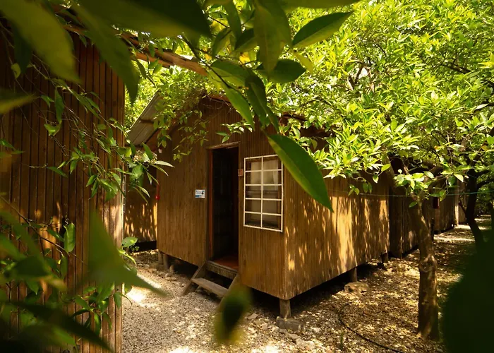 Olympos Yakamoz Pansiyon