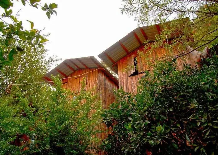 Hoteles en Olympos