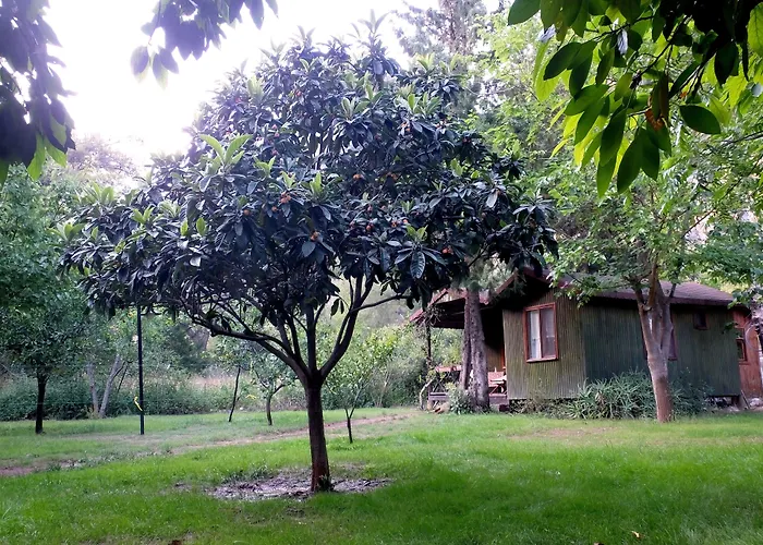 Kibala Hotel Cirali