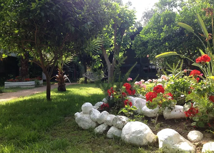 Bellerofon Beach Otel Cirali