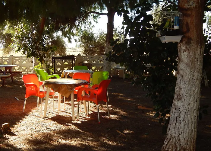 Koru Beach Club Gazipaşa