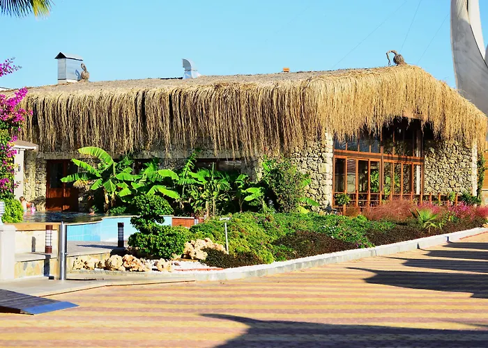 Adenya Hotel & Resort Halal All Inclusive Avsallar