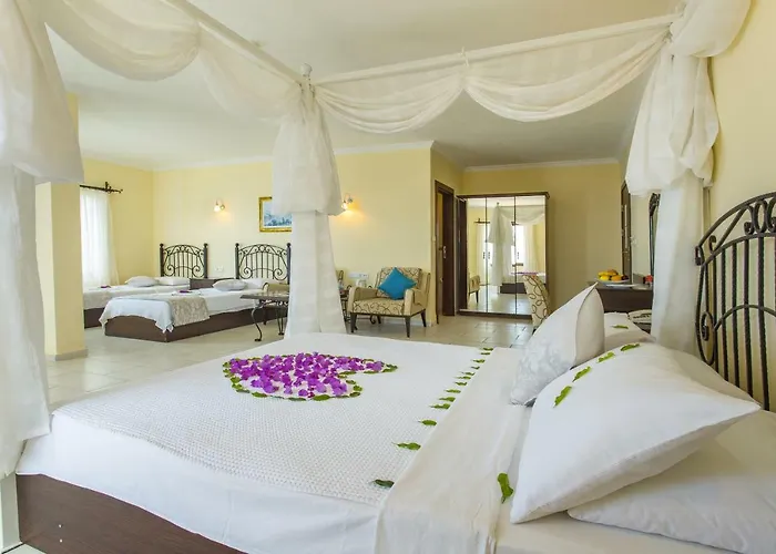 Hotel Cachet - Adult Only +14 Kas